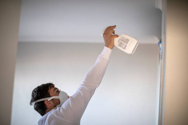 Best Fast Mold Removal  in Cheboygan, MI