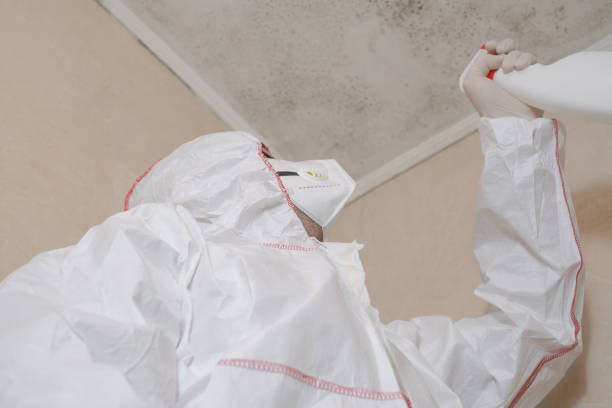 Best Residential Mold Removal  in Cheboygan, MI
